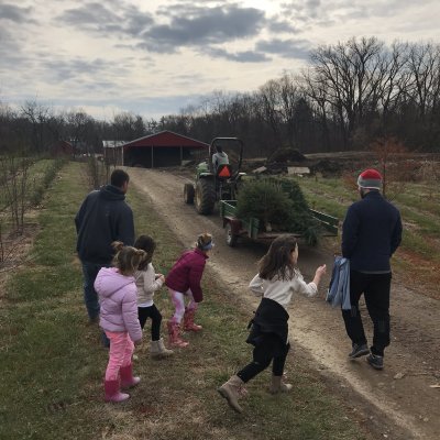 Kids picking Christmas tree
