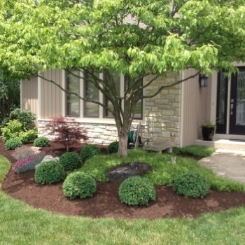 Front view of a house with tree and landscaping