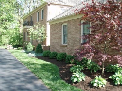 House front with landscaping