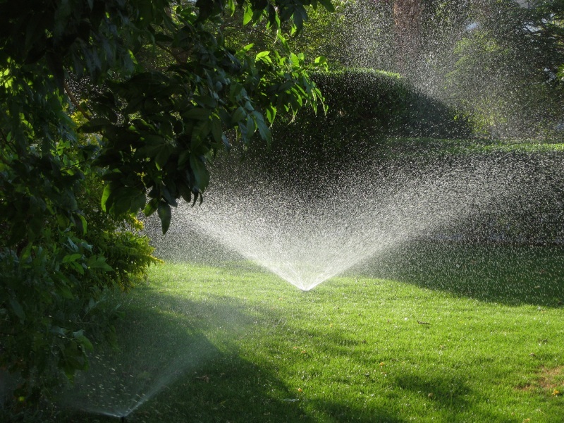 Sprinkler watering a lawn